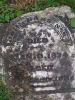John Bass