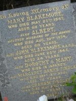 John Blakemore