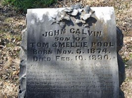 John Calvin Pool John Calvin Pool
