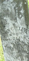 John Cullins