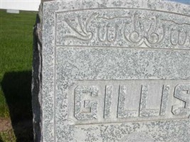 John D. Gillis