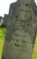 John D Tindall John D Tindall