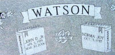 John D Watson, Jr