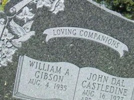 John Dal Castledine