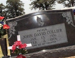 John David Collier John David Collier