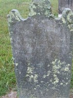 John Dow John Dow