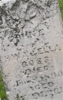 John E. Goss John E. Goss