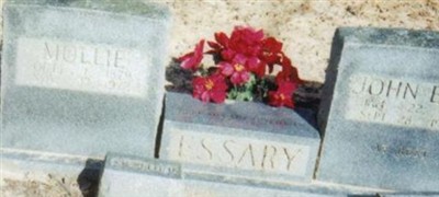 John Edd Essary John Edd Essary