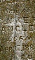 John Ferguson Angle (1897351.jpg) John Ferguson Angle (1897351.jpg)