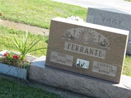John Ferrante John Ferrante