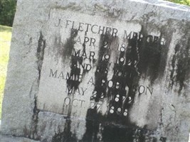 John Fletcher Mercer (2403120.jpg)