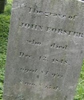 John Forster John Forster