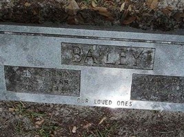 John Gordon Bailey