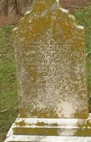 John H. Schaeffer John H. Schaeffer