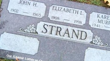 John H Strand John H Strand