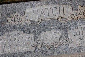 John Henry Hatch John Henry Hatch