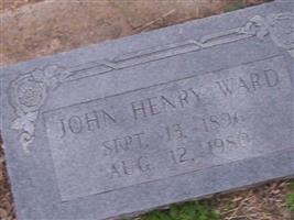 John Henry Ward (1916140.jpg)