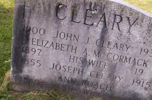 John J Cleary