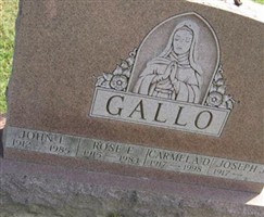 John L. Gallo