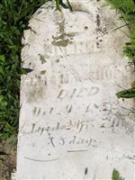 John L Shupe