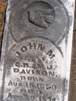John M. Davison