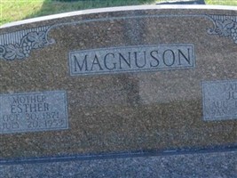 John Magnuson (2402675.jpg) John Magnuson (2402675.jpg)