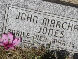 John Marchant Jones