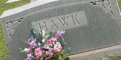 John Minor Hawk (2071851.jpg)