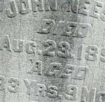 John Neese