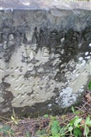 John Parker Webb (2192116.jpg)