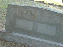 John Pasco Spivey