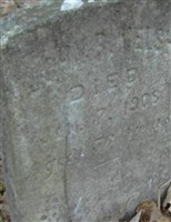 John R Welsh John R Welsh