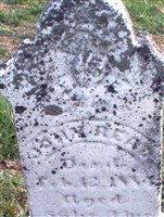 John Read