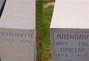 John Rocco Tonelli