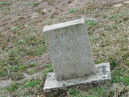 John Russell Read
