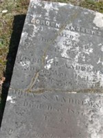 John S Andrews John S Andrews