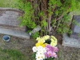 John T Charlesworth John T Charlesworth
