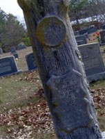 John T. Forrest John T. Forrest