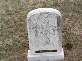 John Torrence John Torrence