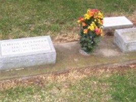 John W Alexander