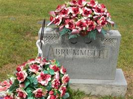 John W Brummett