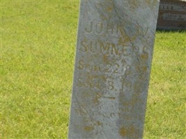 John W Sumners