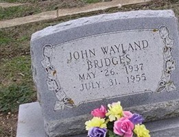 John Wayland Bridges