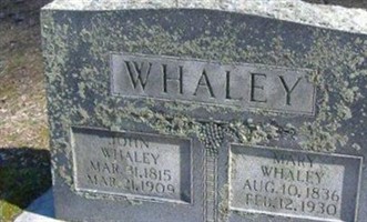 John Whaley