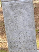 John Willhouby Wiggins