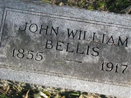 John William Bellis
