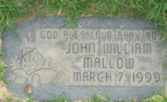 John William Mallow