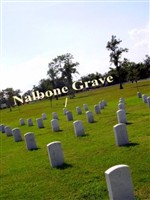 John William Nalbone John William Nalbone