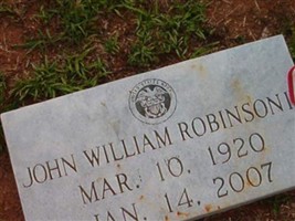 John William Robinson John William Robinson