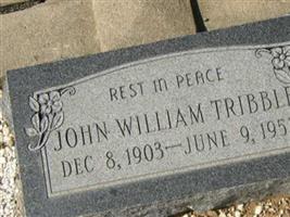 John William Tribble